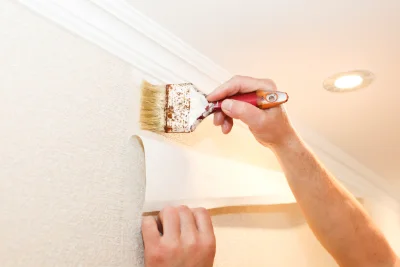 Pose de papier peint à Mudaison — revêtements muraux et toiles de verre